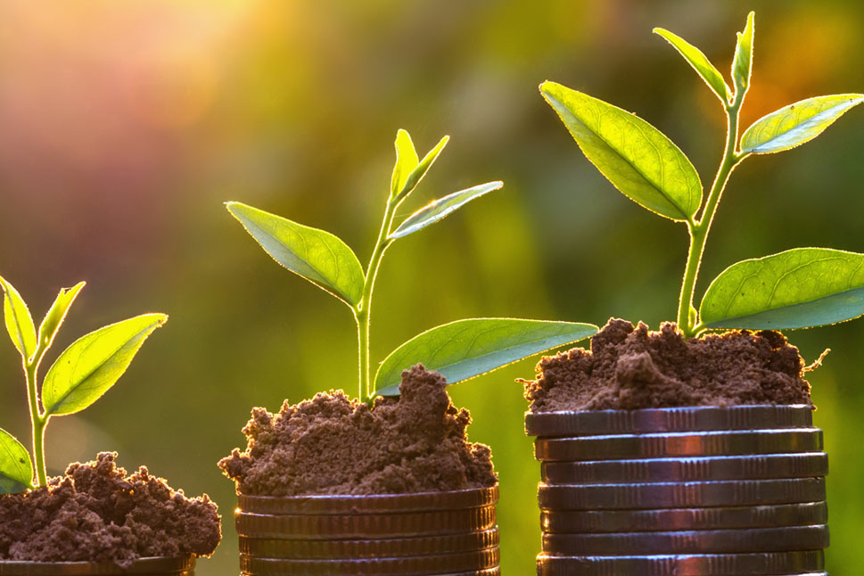 Auf unterschiedlich hohen Münzstapeln wachsen kleine Pflanzen.