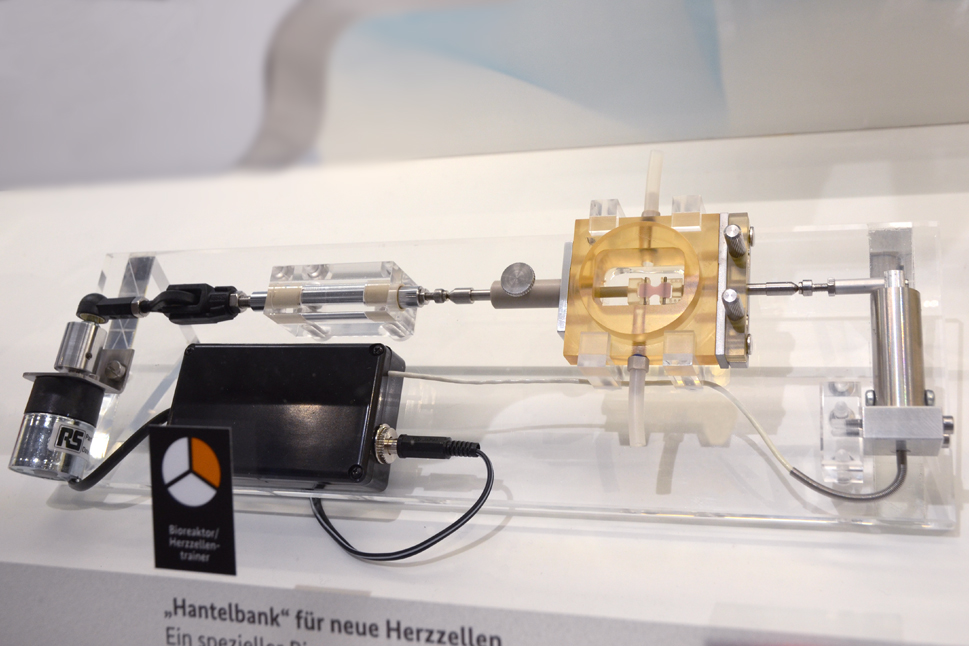 Der gesamte Herzzellentrainer in der Übersicht.